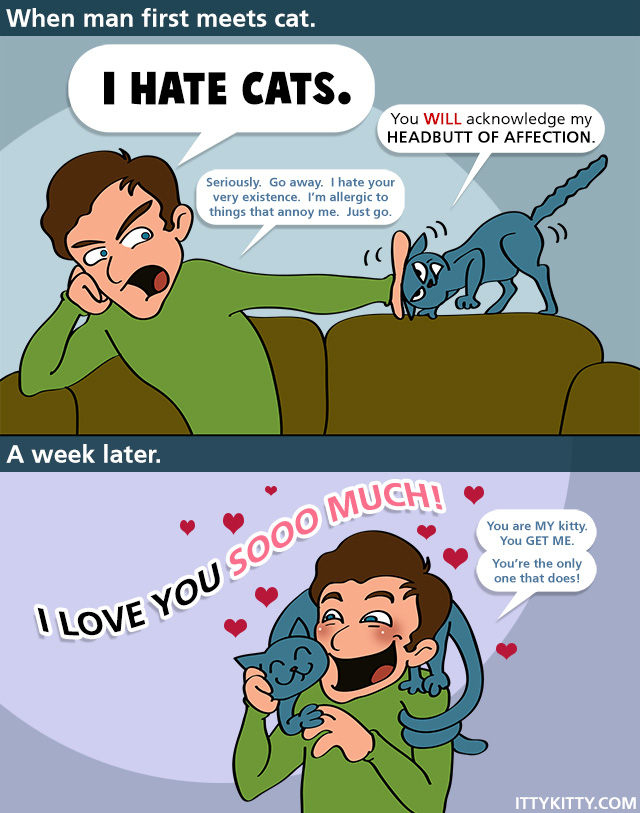 The Truth about Men who say they Hate Cats. •